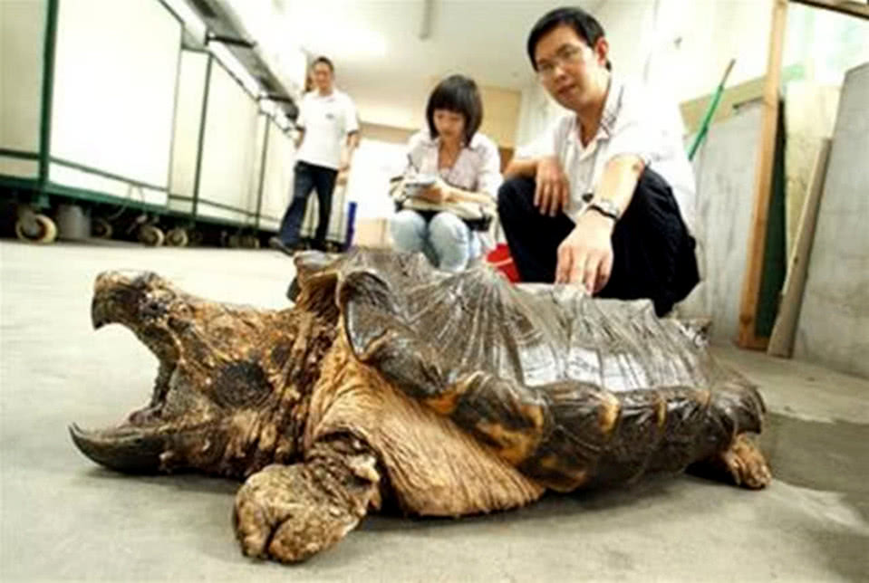 地方新闻 第93页