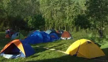 游戏专题 第90页