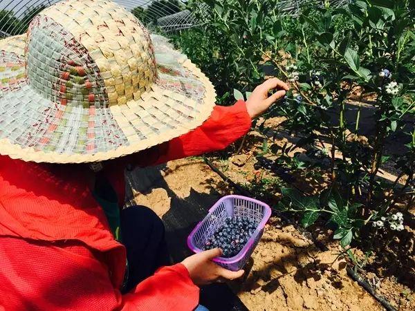 娱乐生活 第62页