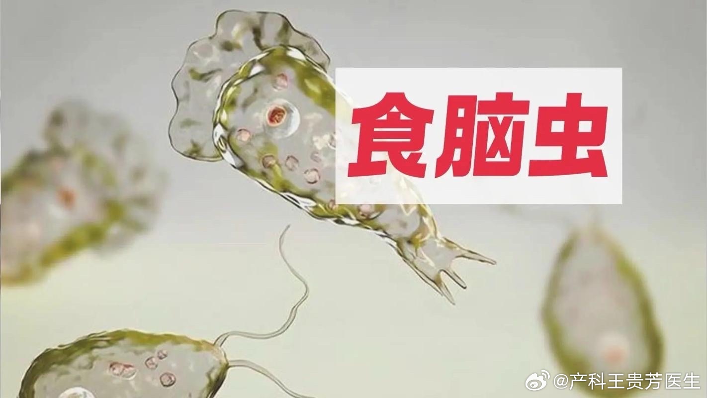 游戏专题 第19页