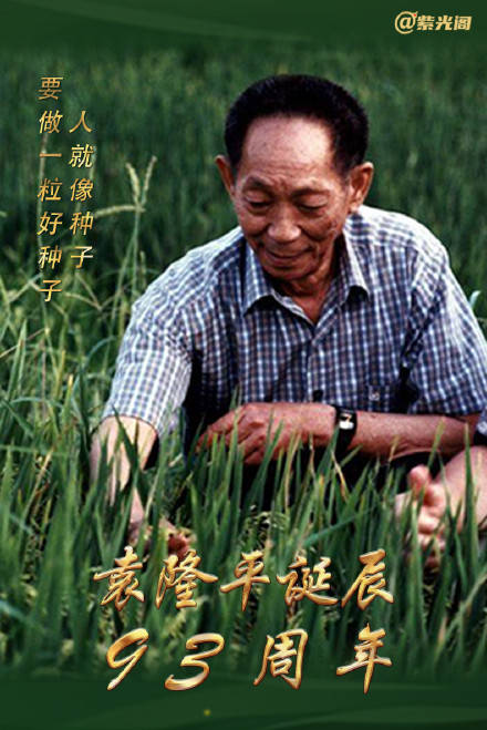 袁隆平诞辰95年袁隆平诞辰95年，缅怀杂交水稻之父的伟大贡献